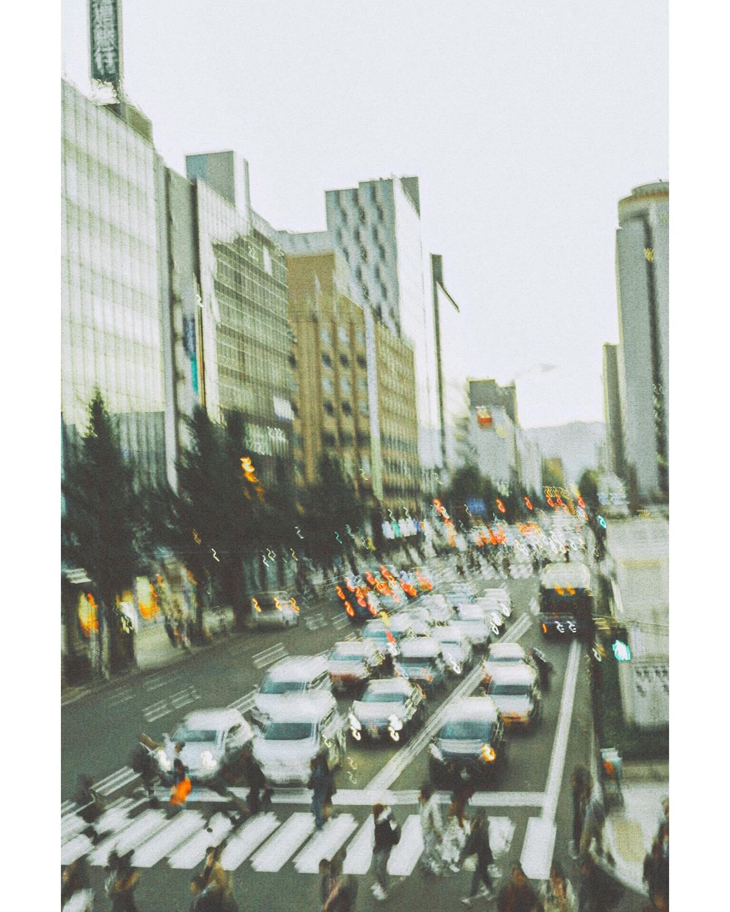 内側の写真（日々）