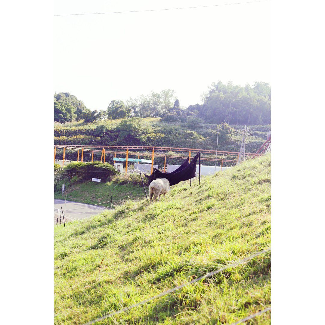 Photo（日々）