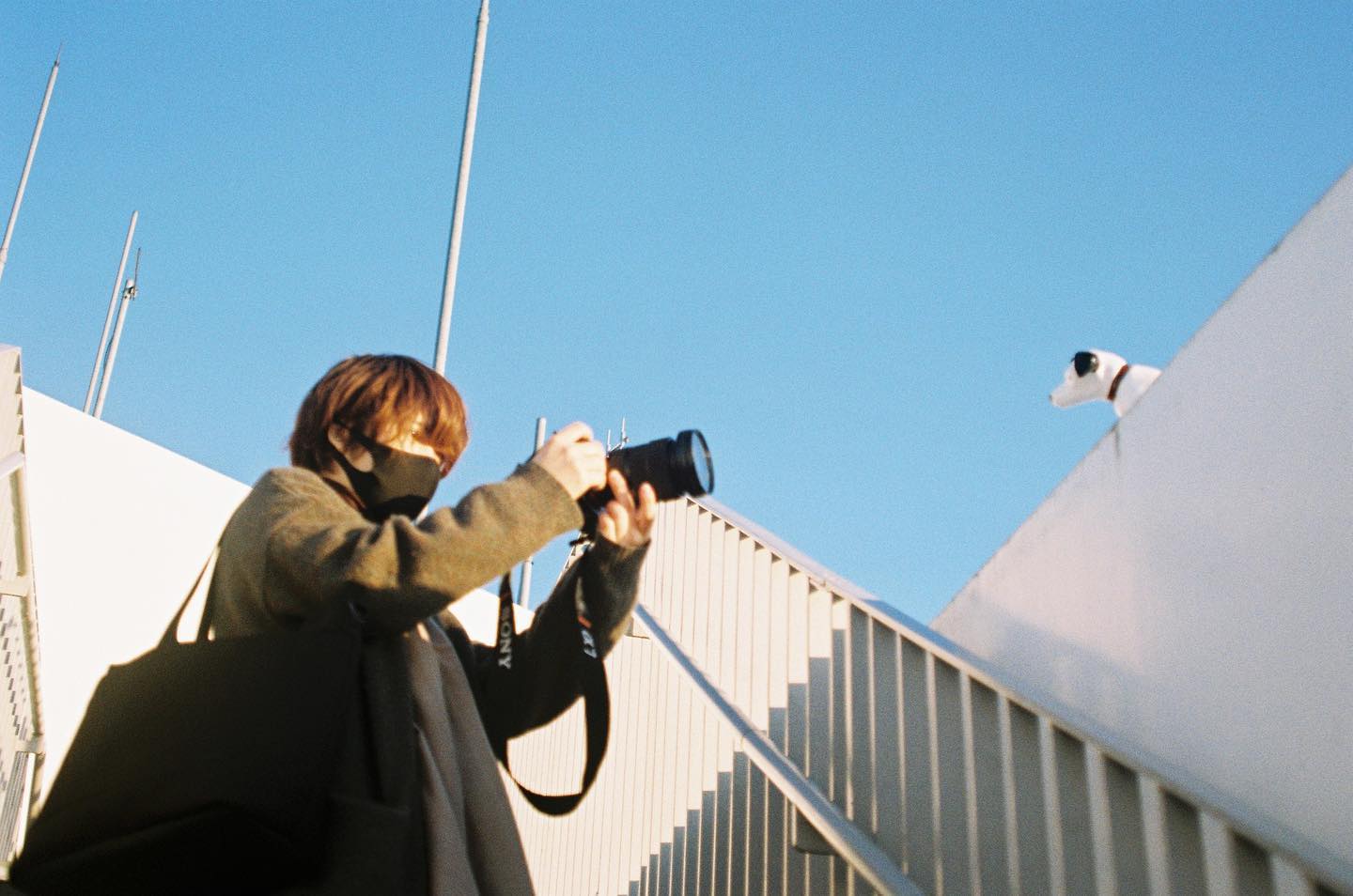 この使ってるフィルムが最近見当たらない（日々）
