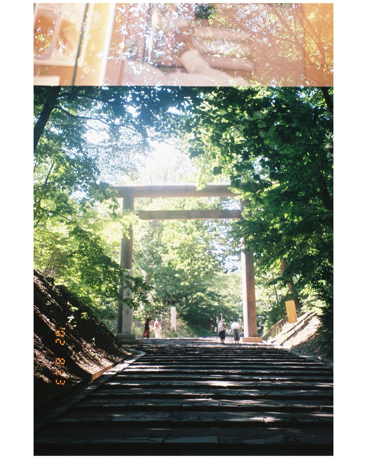 不器用な写真（日々）