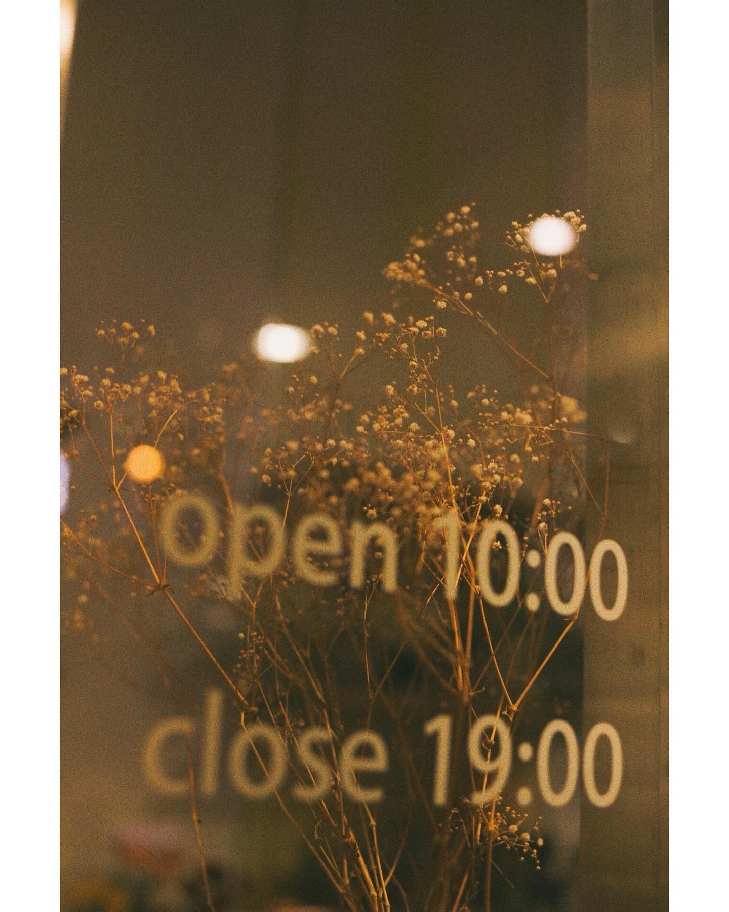 閉店後の花屋とか夜に見る花って良くないですか？（日々）