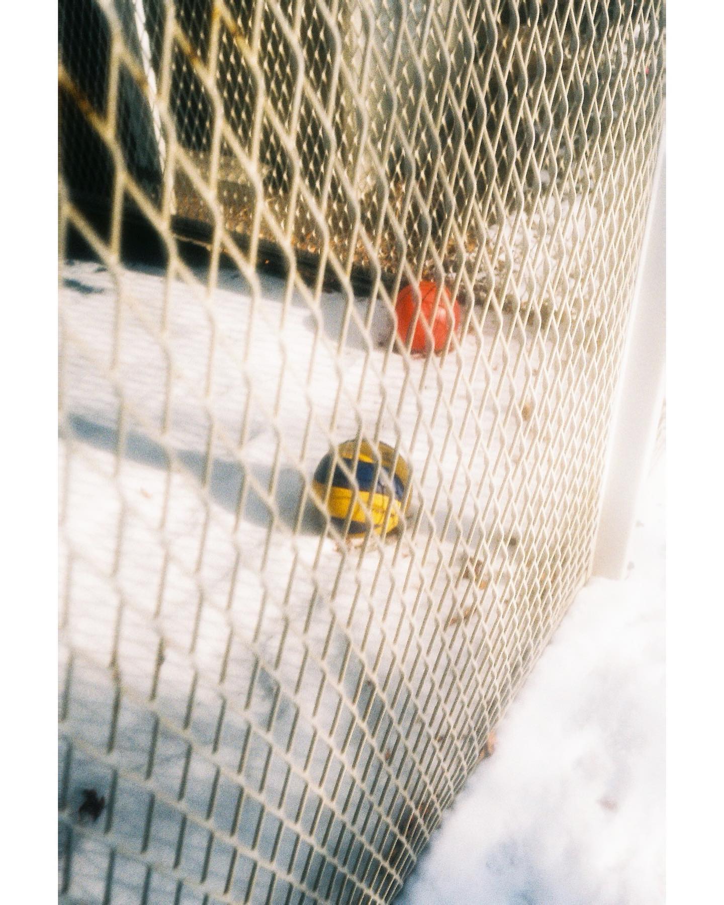 冬の写真（日々）