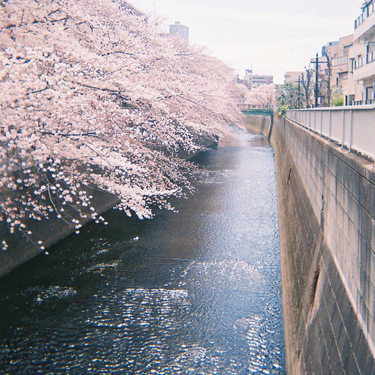 May. 2022（日々）